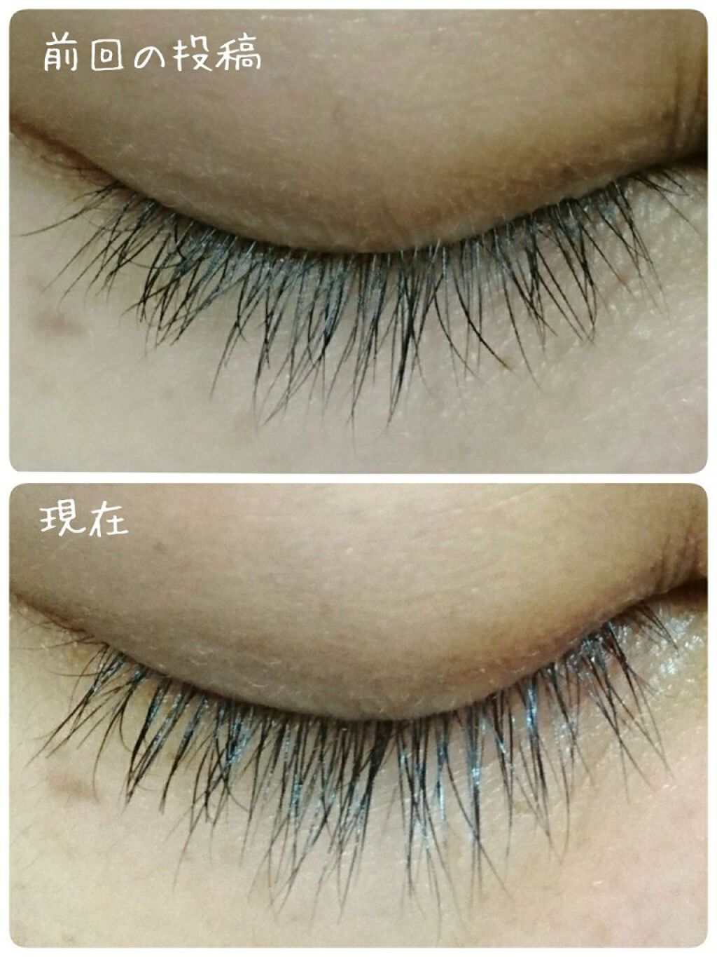 ラッシュジェリードロップ　ＥＸ/MAJOLICA MAJORCA/まつげ美容液を使ったクチコミ（2枚目）