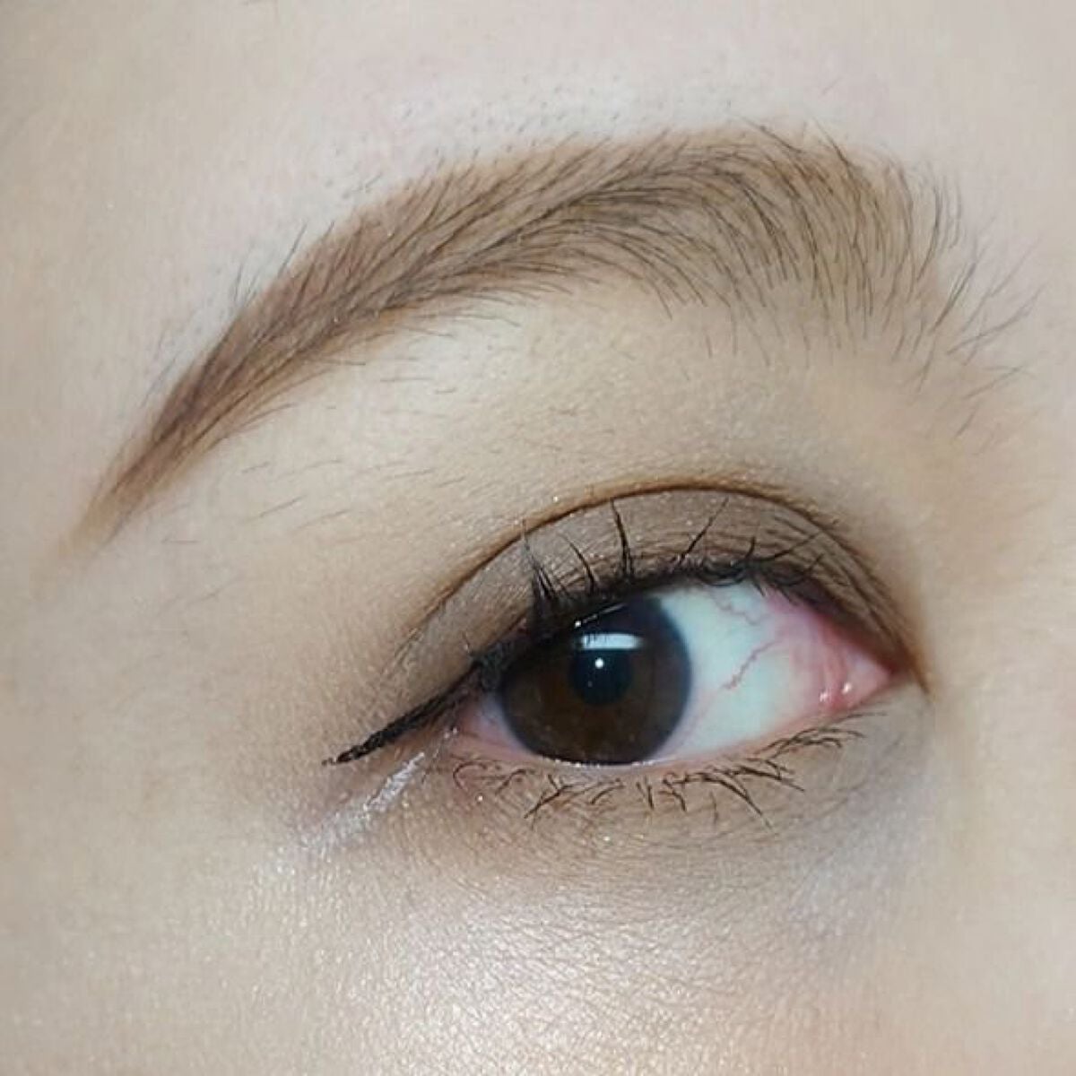 フーミー マルチアイブロウパウダー/WHOMEE/パウダーアイブロウを使ったクチコミ(9枚目)