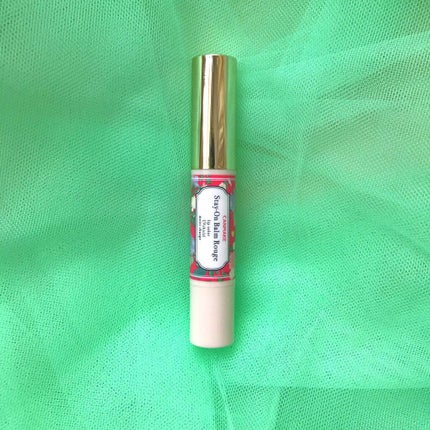 ステイオンバームルージュ/キャンメイク/口紅を使ったクチコミ(1枚目)