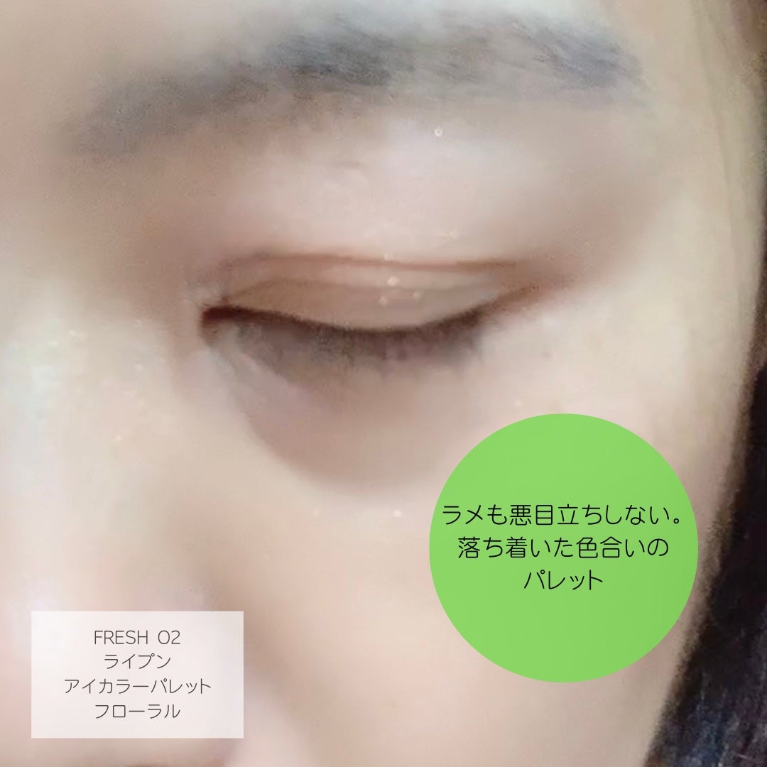 ライプンアイカラーパレット/FRESHO2/アイシャドウパレットを使ったクチコミ(4枚目)