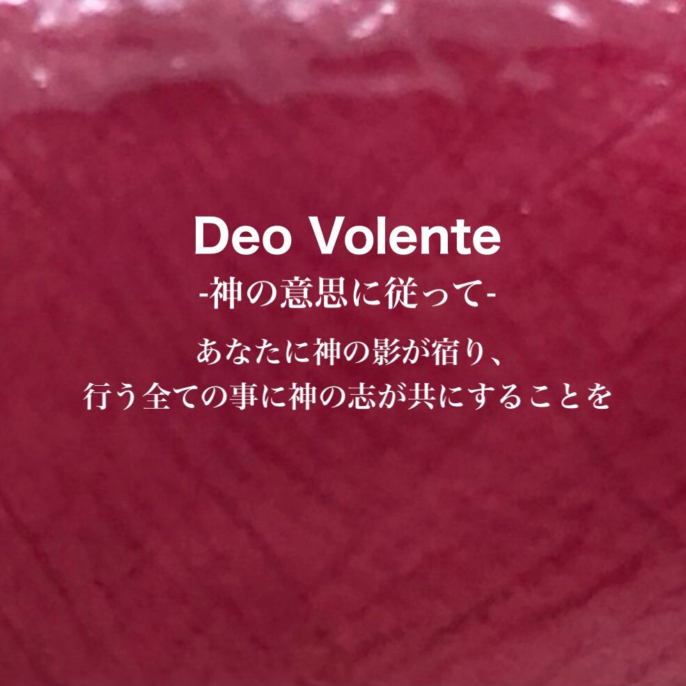 ブラーグロイリップティント/Dinto/リップティントを使ったクチコミ(5枚目)