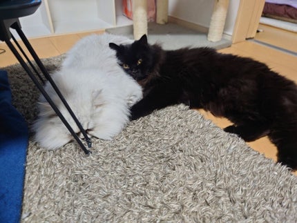 ディープリペア ヘアパック/mixim POTION/ヘアマスク・ヘアパックを使ったクチコミ(3枚目)