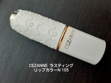 ラスティング リップカラーN/CEZANNE/口紅を使ったクチコミ(1枚目)