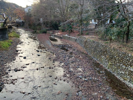 ベリーデリシャス クリームチーク/ETUDE/ジェル・クリームチークを使ったクチコミ(8枚目)