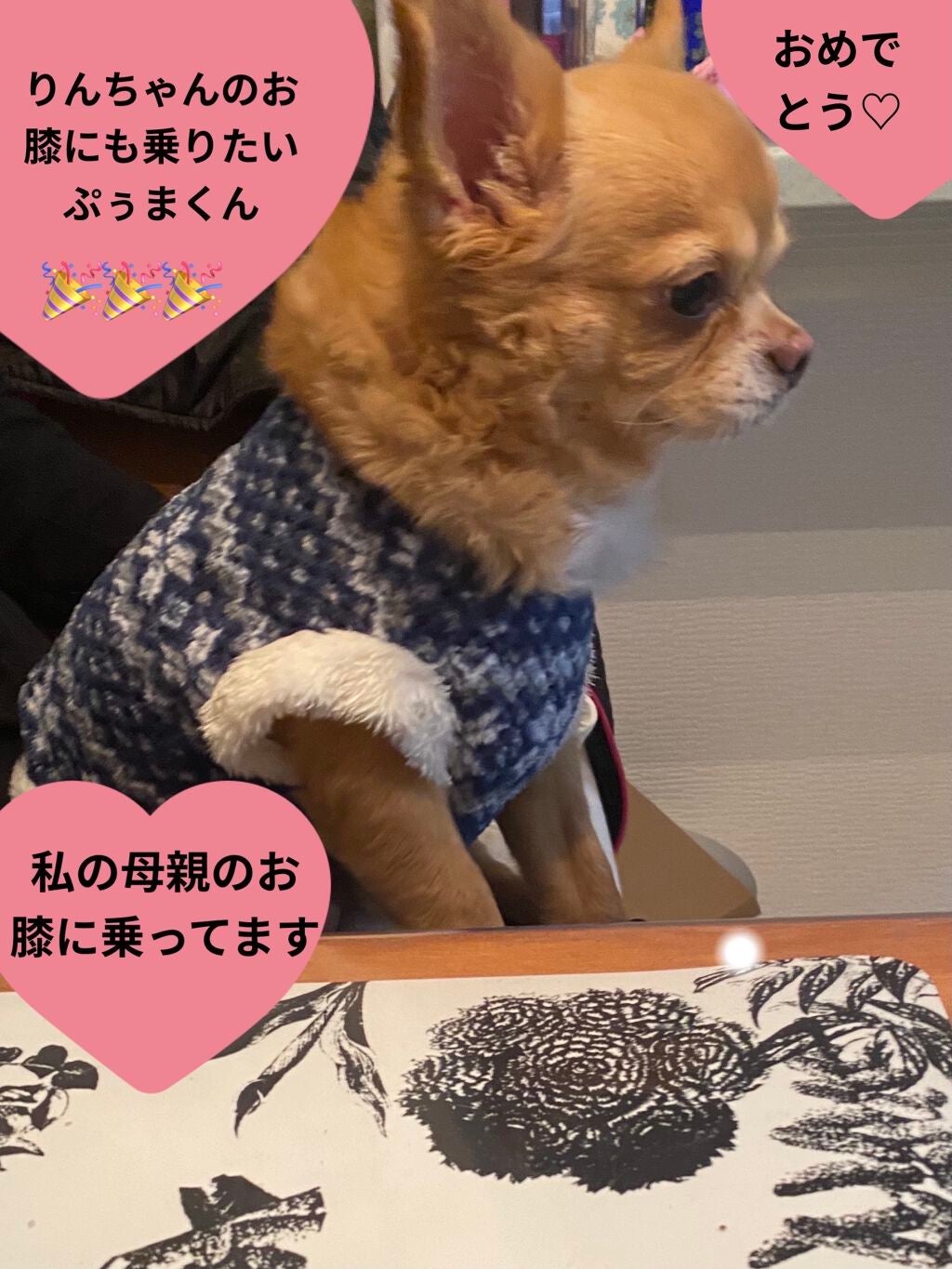 ル・ヌフ・ジバンシイ/GIVENCHY/アイシャドウパレットを使ったクチコミ(6枚目)