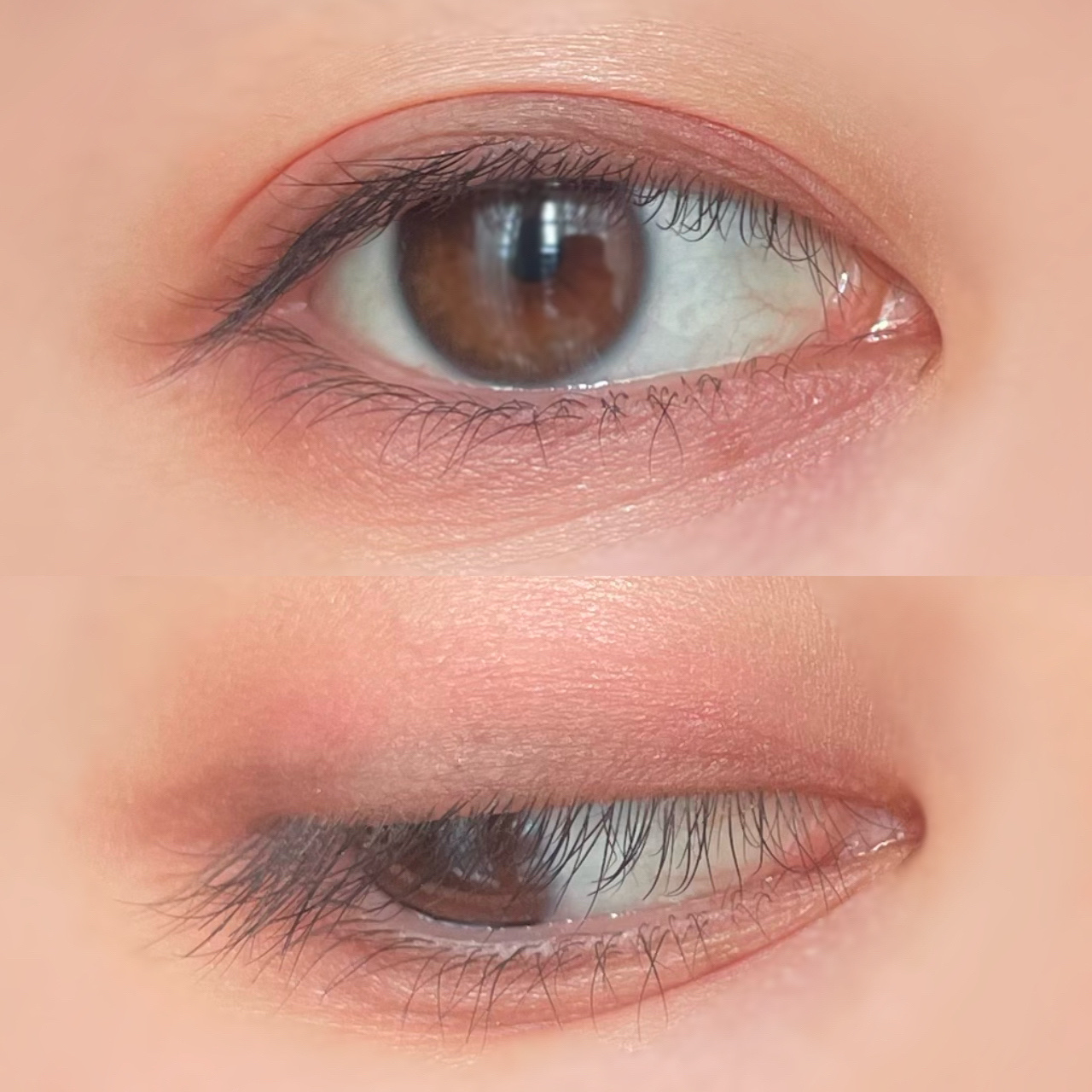 コネクト イン カラー アイシャドウ パレット × 6 ローズ レンズ/M・A・C/アイシャドウパレットを使ったクチコミ（3枚目）