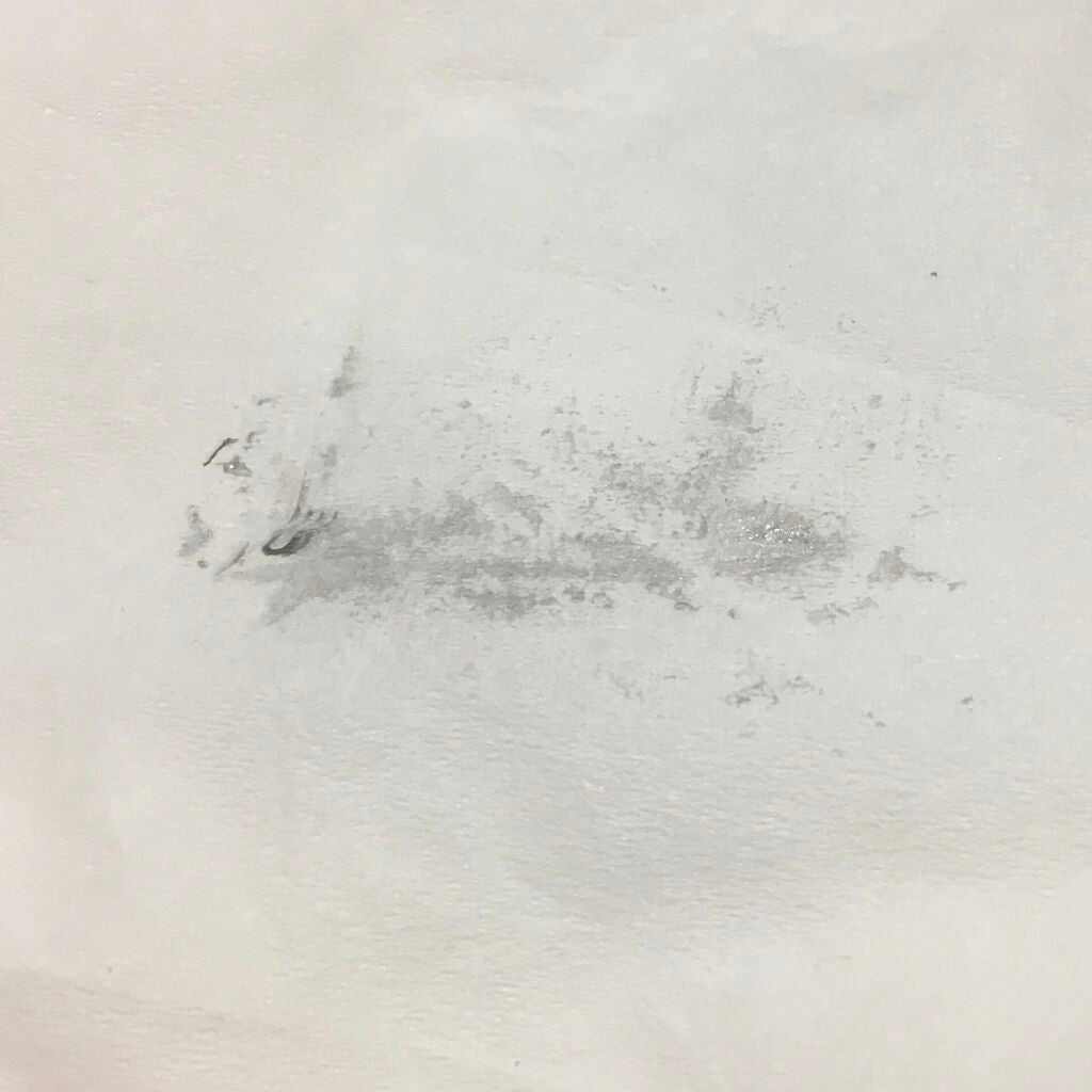 ラッシュフォーマー(クリア)/KATE/マスカラを使ったクチコミ(5枚目)