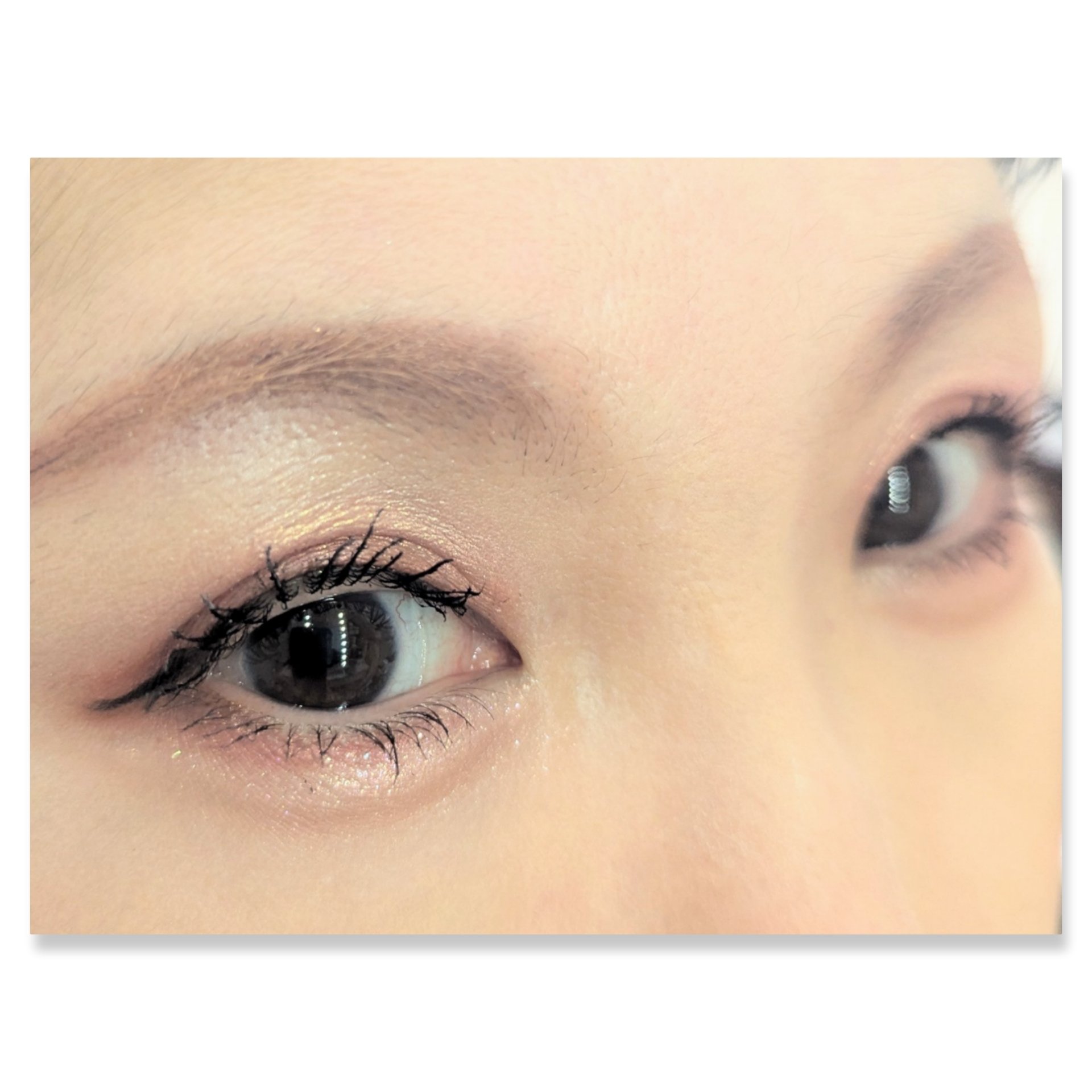 銀河系アイシャドウパレット/Ready to Shine/アイシャドウパレットを使ったクチコミ（2枚目）