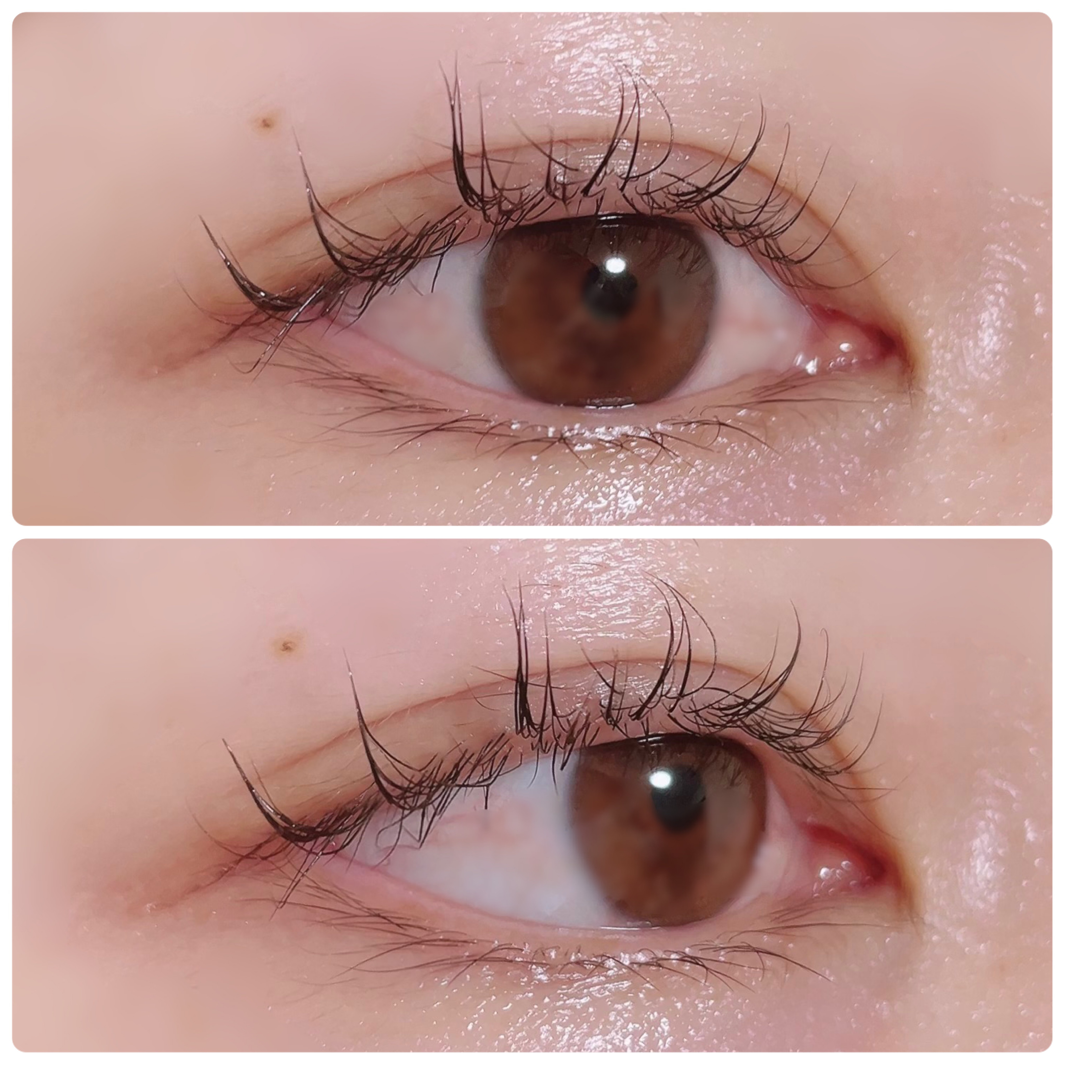 アイラッシュセラム/wonderfay/まつげ美容液を使ったクチコミ（3枚目）