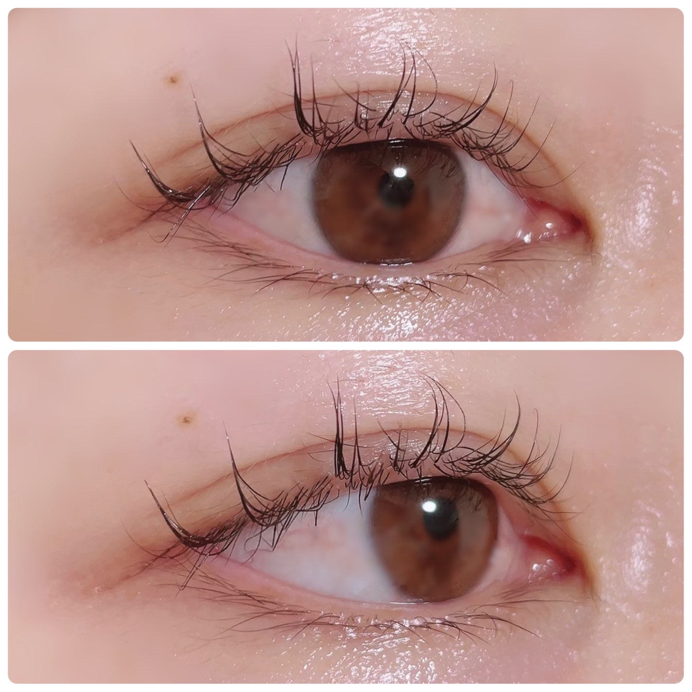 アイラッシュセラム/wonderfay/まつげ美容液を使ったクチコミ(3枚目)