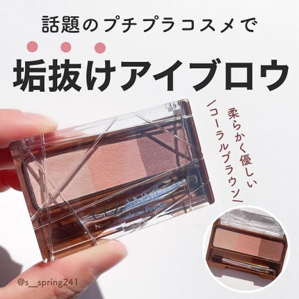 ノーズ&アイブロウパウダー/CEZANNE/パウダーアイブロウを使ったクチコミ(1枚目)