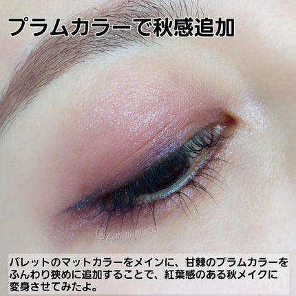 トーン タッチ アイズ/SUQQU/単色アイシャドウを使ったクチコミ(2枚目)