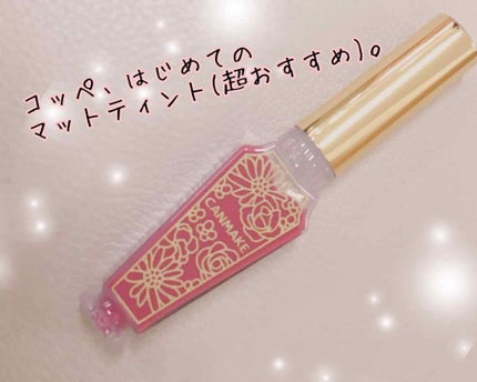 リップティントマット/キャンメイク/リップグロスを使ったクチコミ(1枚目)