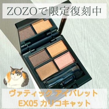 今だけZOZOで限定復刻中‼︎

Celvoke　
ヴァティック アイパレット
EX05 カリコキャット🐾ฅ⸝⸝


昨年夏に一部店舗限定で発売されたこのアイシャドウ。
『カリコキャット』は三毛猫の意味