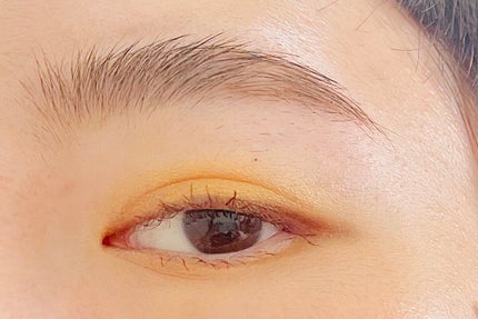 アイプランナー/excel/単色アイシャドウを使ったクチコミ(3枚目)