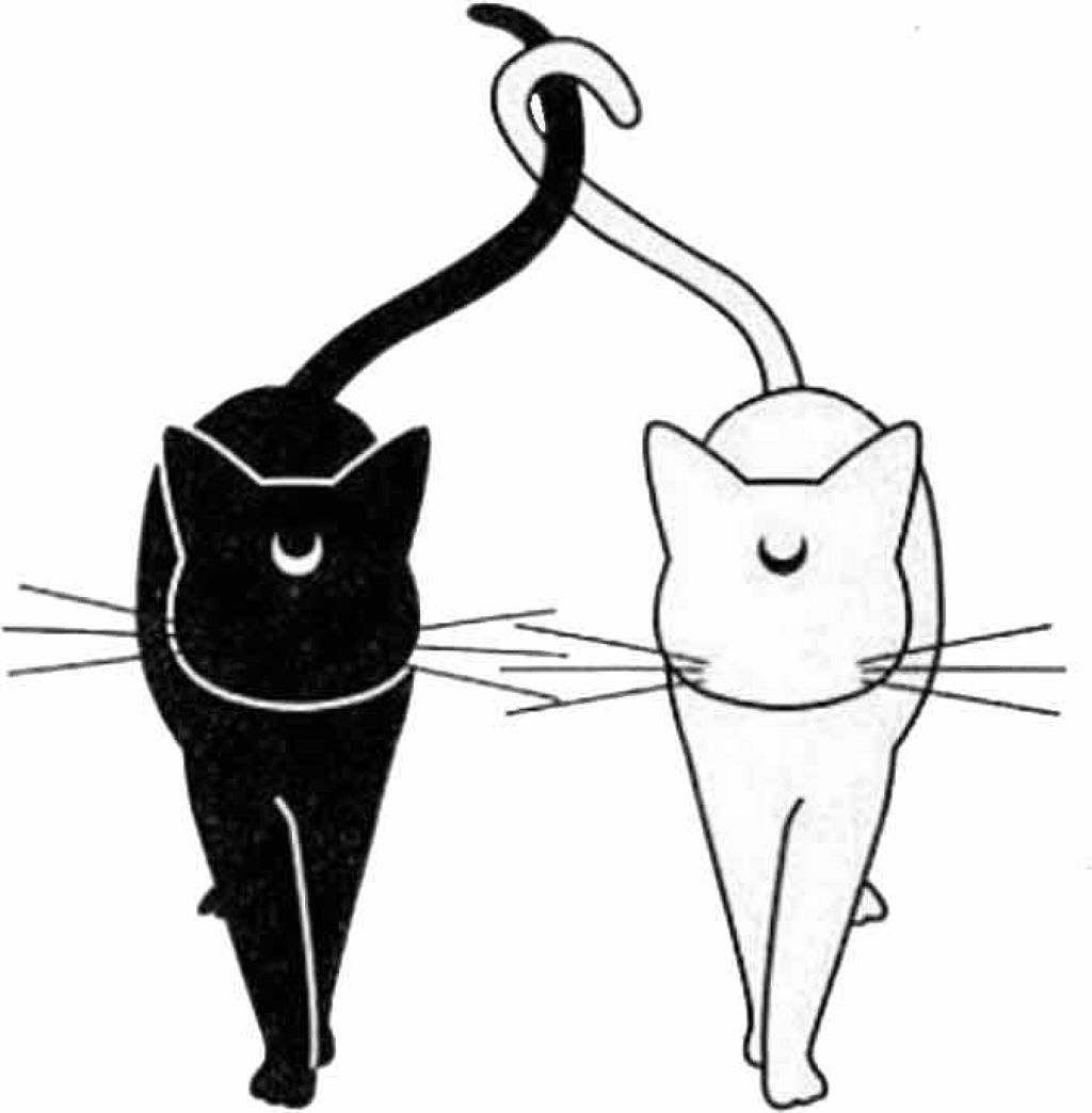 バファリン ルナi(医薬品)/バファリン/その他を使ったクチコミ(2枚目)