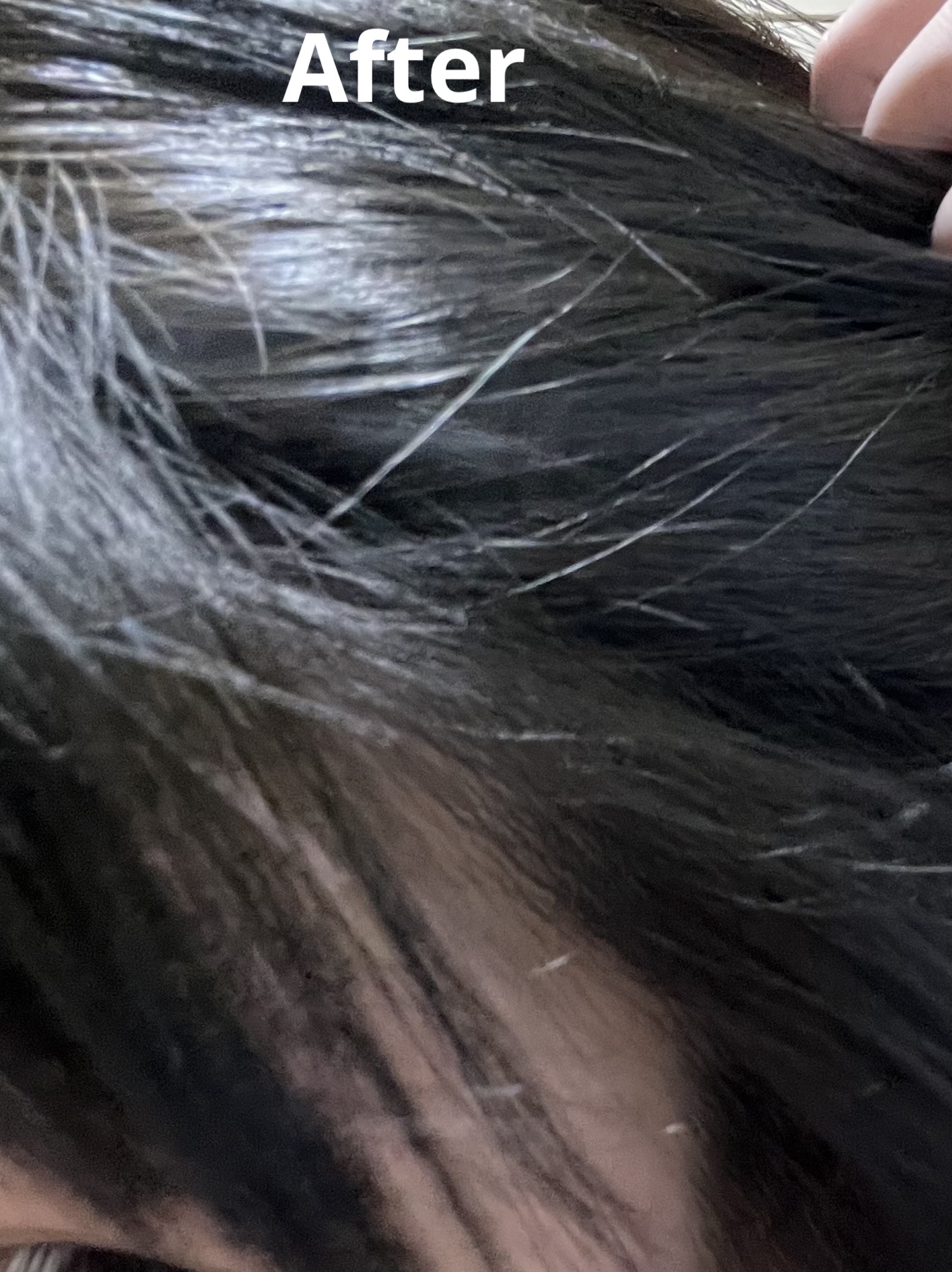 Arctic Fox/Arctic Fox/ヘアカラーを使ったクチコミ（3枚目）