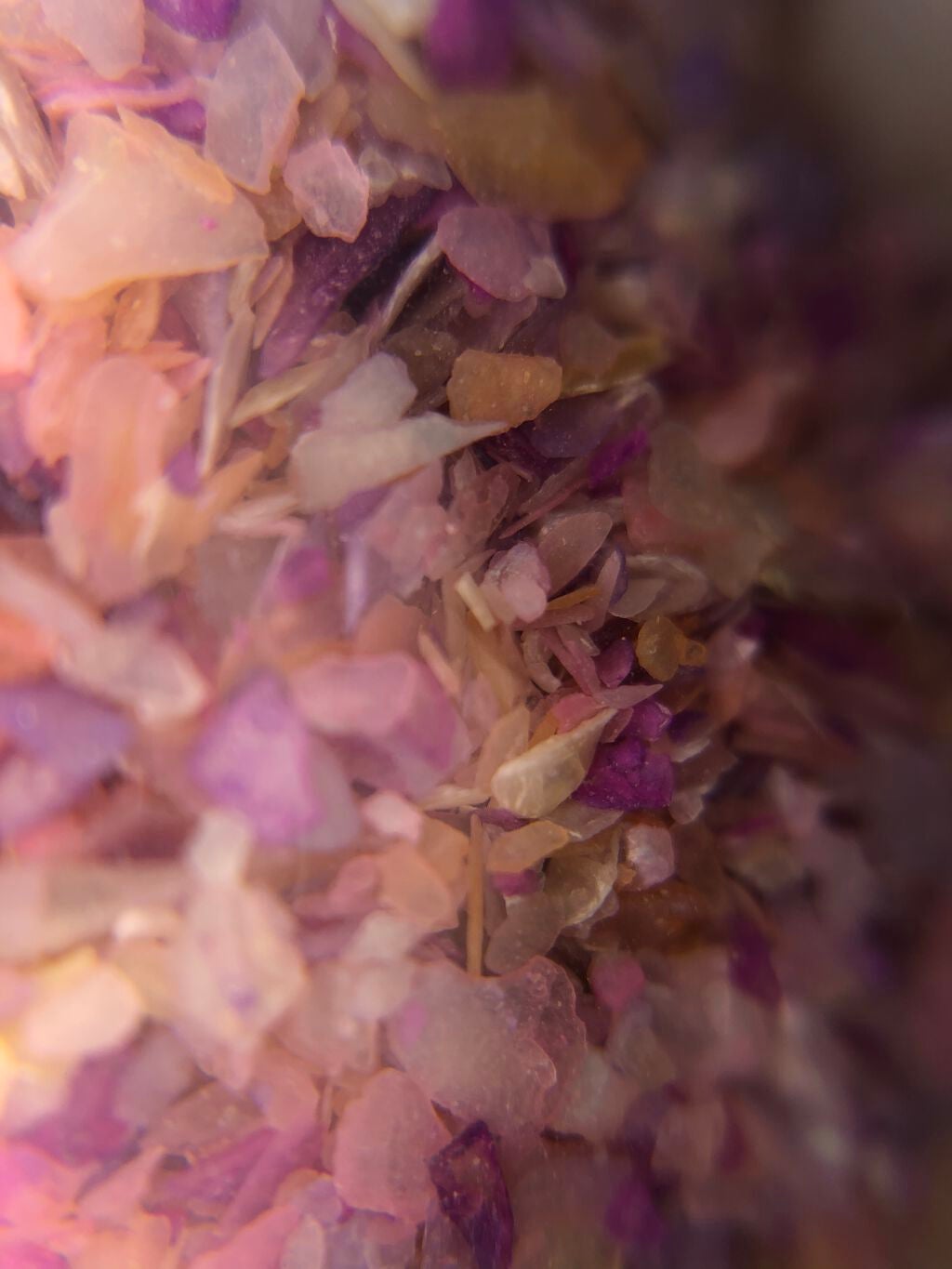 シェルフレーク/DAISO/ネイルチップ・パーツを使ったクチコミ(4枚目)