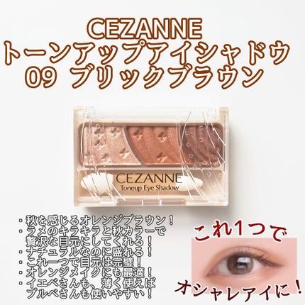 トーンアップアイシャドウ/CEZANNE/アイシャドウパレットを使ったクチコミ(2枚目)