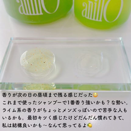ライムサンデー リフレッシュシャンプー/ANILLO/市販シャンプーを使ったクチコミ(5枚目)