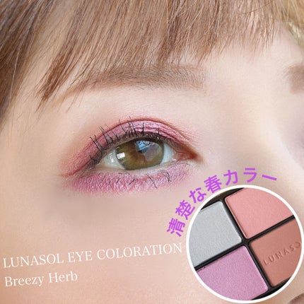 アイカラーレーション/LUNASOL/アイシャドウパレットを使ったクチコミ(1枚目)
