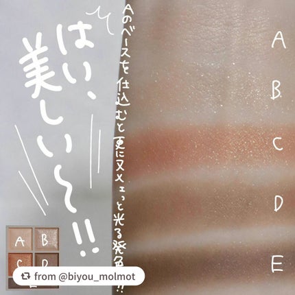 パノラマデザイン アイパレット/Visée/アイシャドウパレットを使ったクチコミ(4枚目)