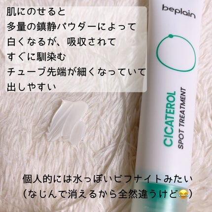 えぞ〜韓国スキンケア&コスメオタク〜 on LIPS 「.beplain@beplain_jpの新作「シカテロルライン..」(10枚目)