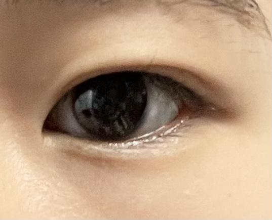 FLANMY 1day チュールロゼ※2024/12〜カラー名変更/FLANMY/ワンデー（１DAY）カラコンを使ったクチコミ（3枚目）