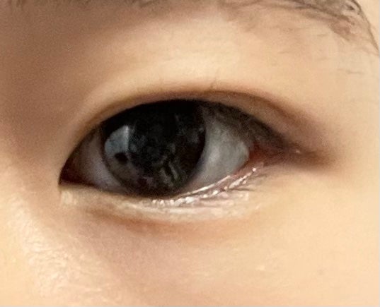 MOLAK 1day/MOLAK/ワンデー(1DAY)カラコンを使ったクチコミ(2枚目)