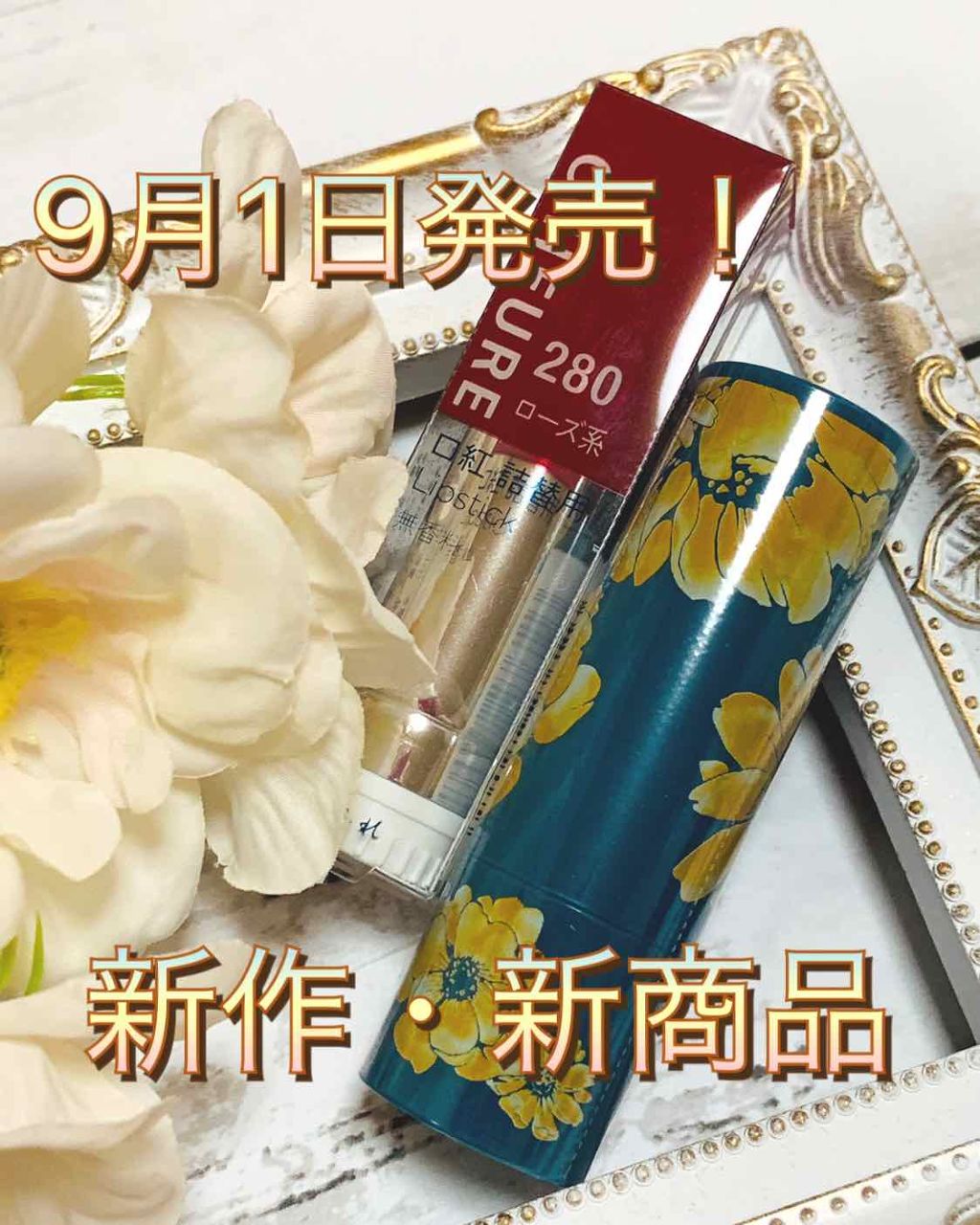 口紅(詰替用)/ちふれ/口紅を使ったクチコミ(1枚目)