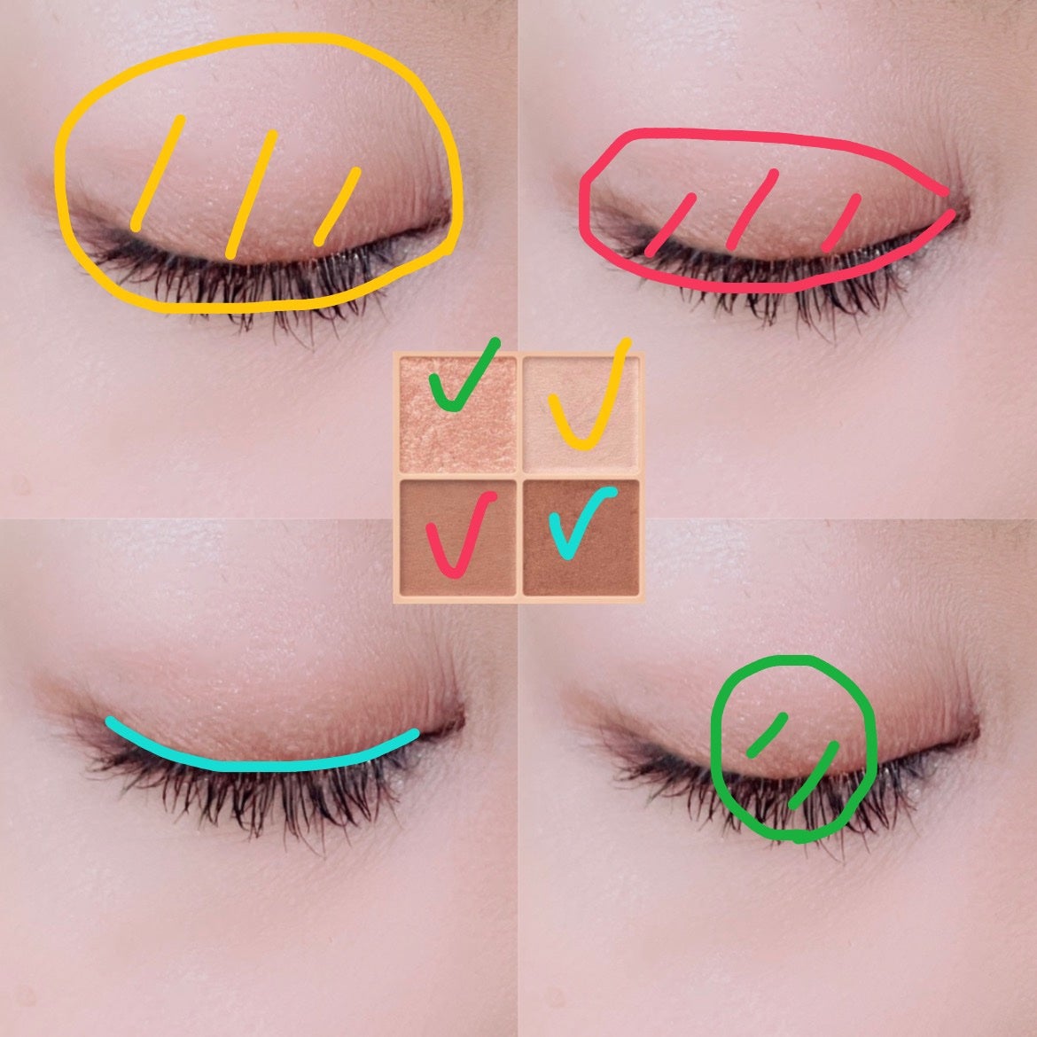 ベージュトーンアイシャドウ/CEZANNE/アイシャドウパレットを使ったクチコミ(2枚目)