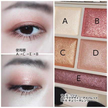 パノラマデザイン アイパレット/Visée/アイシャドウパレットを使ったクチコミ(6枚目)