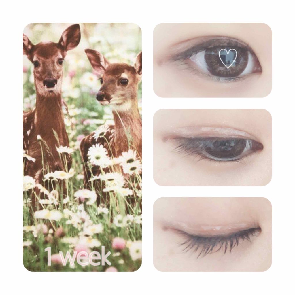 ラッシュケアエッセンス/キャンメイク/まつげ美容液を使ったクチコミ(3枚目)