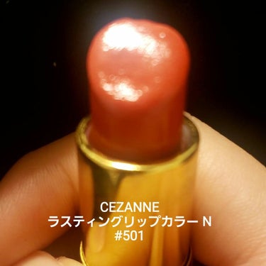 ラスティング リップカラーN/CEZANNE/口紅を使ったクチコミ（6枚目）