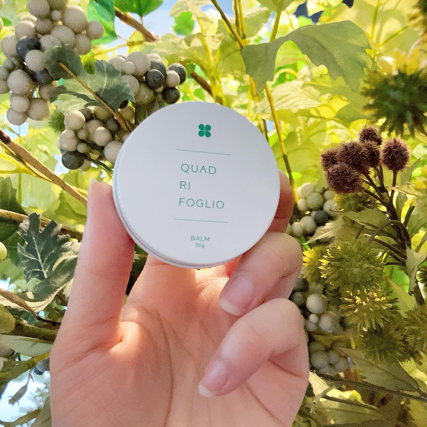 ナチュラル ワセリナ/クアドリフォリオ/フェイスバームを使ったクチコミ（1枚目）