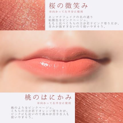 ネンマクフェイク ルージュ/Visée/口紅を使ったクチコミ(6枚目)