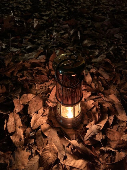 トーン ペタル アイシャドウ/to/one/アイシャドウパレットを使ったクチコミ(9枚目)