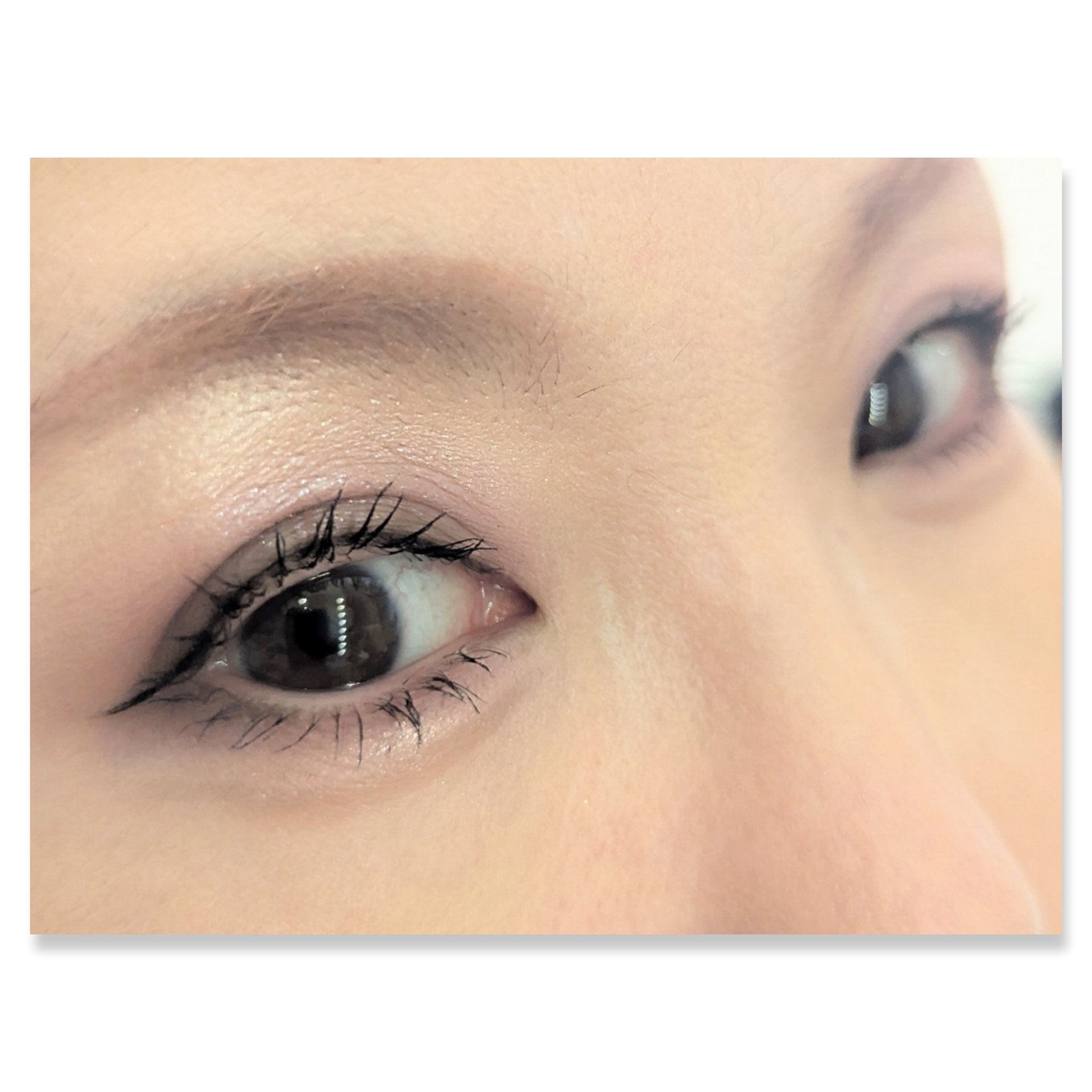 ニュアンス マット クリエイター/Visée/アイシャドウパレットを使ったクチコミ（2枚目）