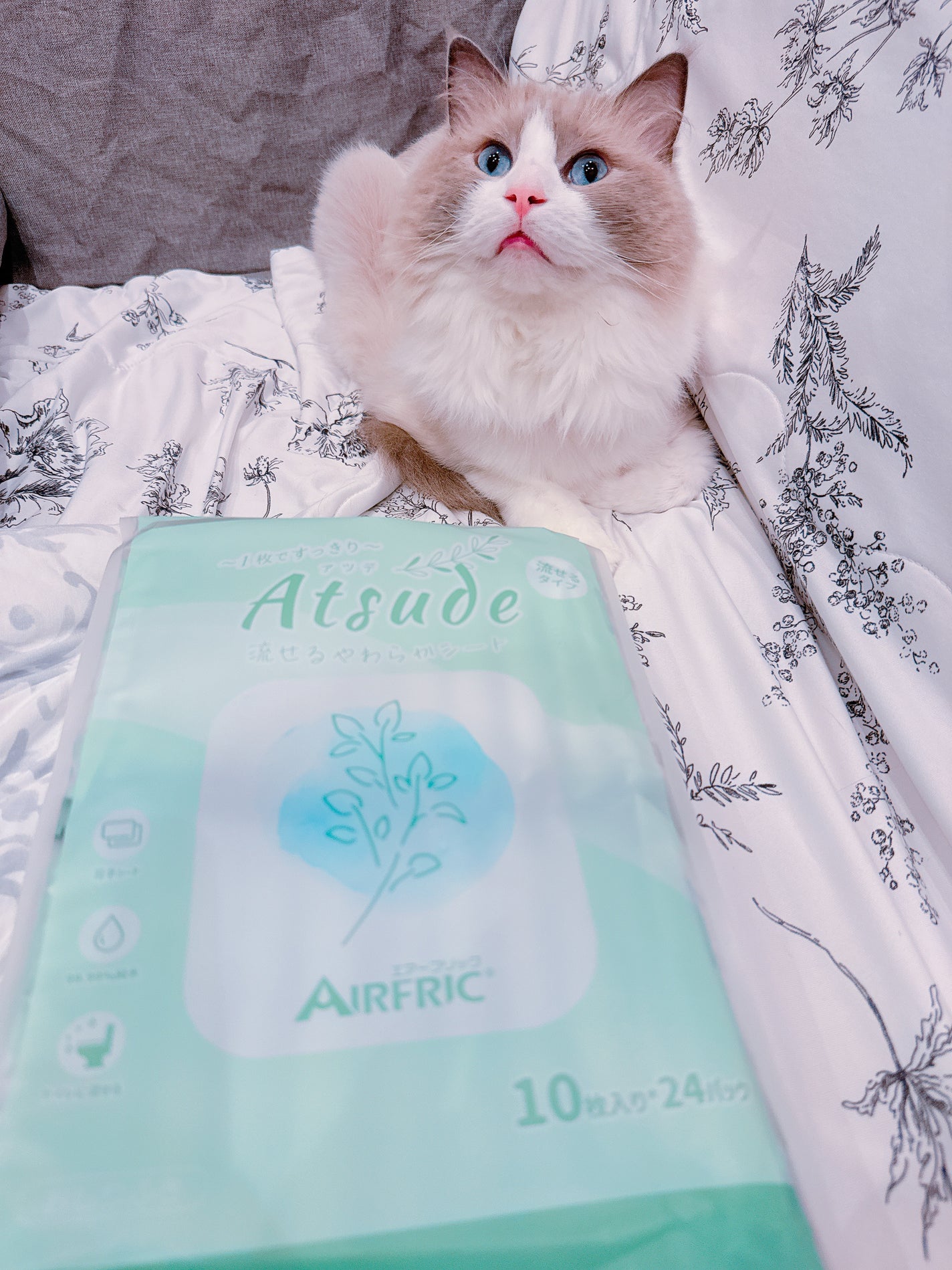 Atsude 流せる!超厚手やわらかシート/AIRFRIC/ティッシュを使ったクチコミ(6枚目)