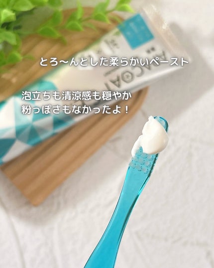 ヤクルト 薬用アパコート S.E.<ナノテクノロジー>/ヤクルト ビューティエンス/歯磨き粉を使ったクチコミ(3枚目)