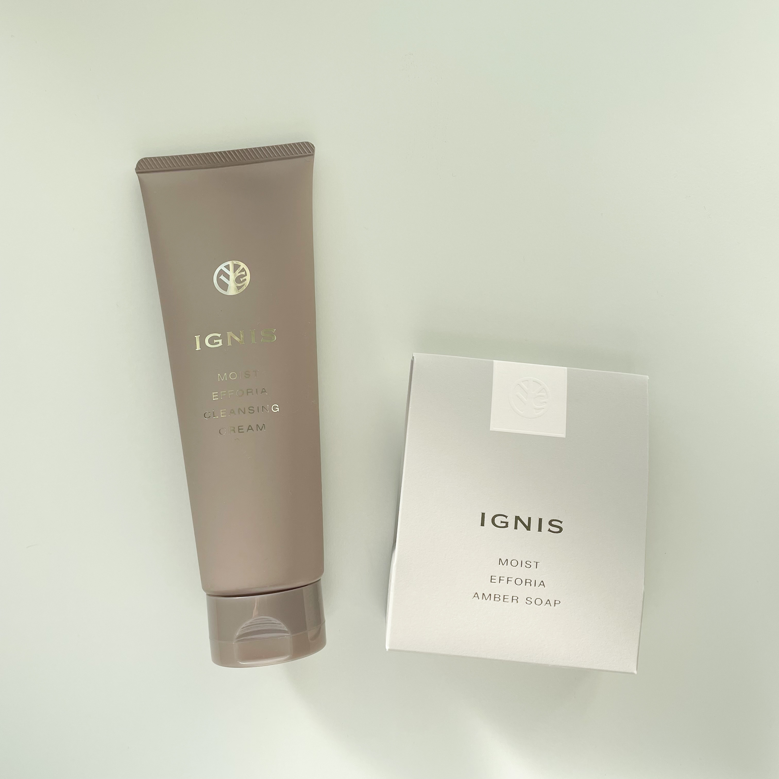 イグニス モイスト エフフォーリアクレンジングクリーム/IGNIS/クレンジングクリームを使ったクチコミ（1枚目）