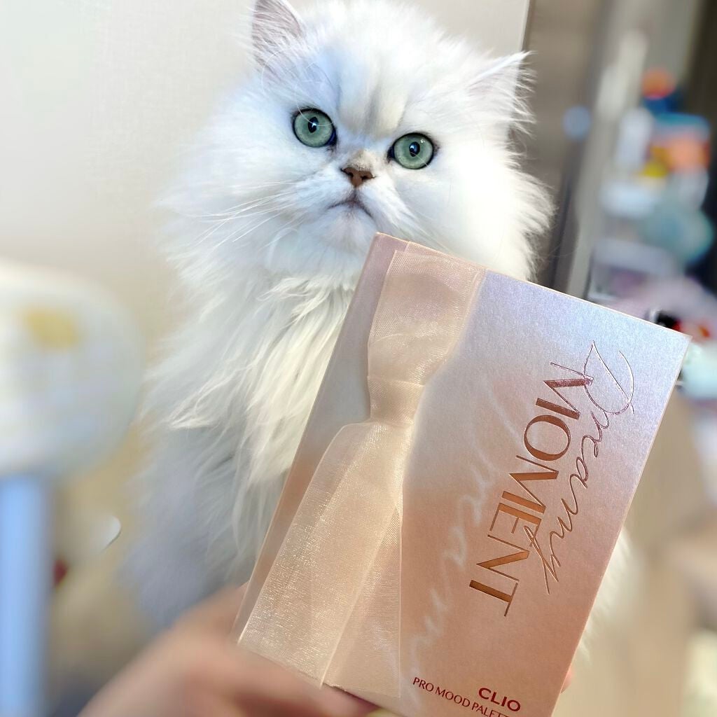 プロ ムード パレット/CLIO/アイシャドウパレットを使ったクチコミ(4枚目)