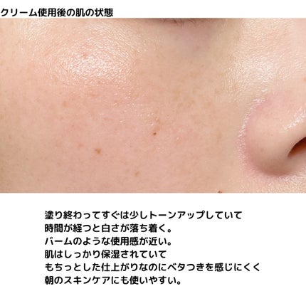 シカプラスト リペアクリーム B5+ /ラ ロッシュ ポゼ/フェイスクリームを使ったクチコミ(5枚目)