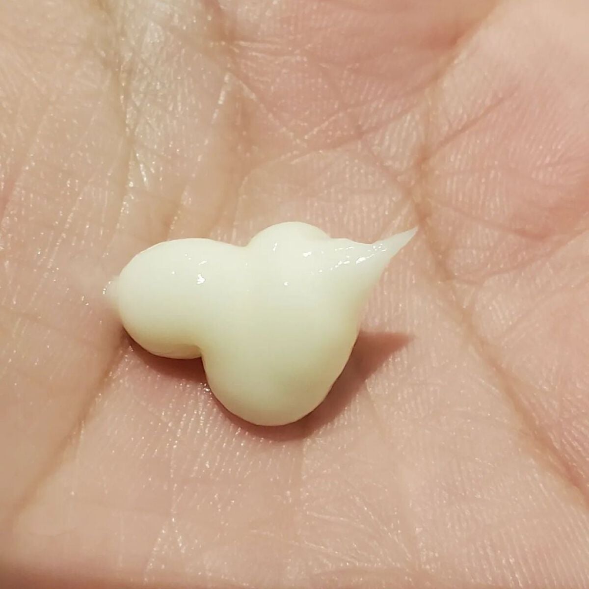 アルガン ヘアシャンプー/ヘアコンディショナー/WELEDA/市販シャンプーを使ったクチコミ(7枚目)