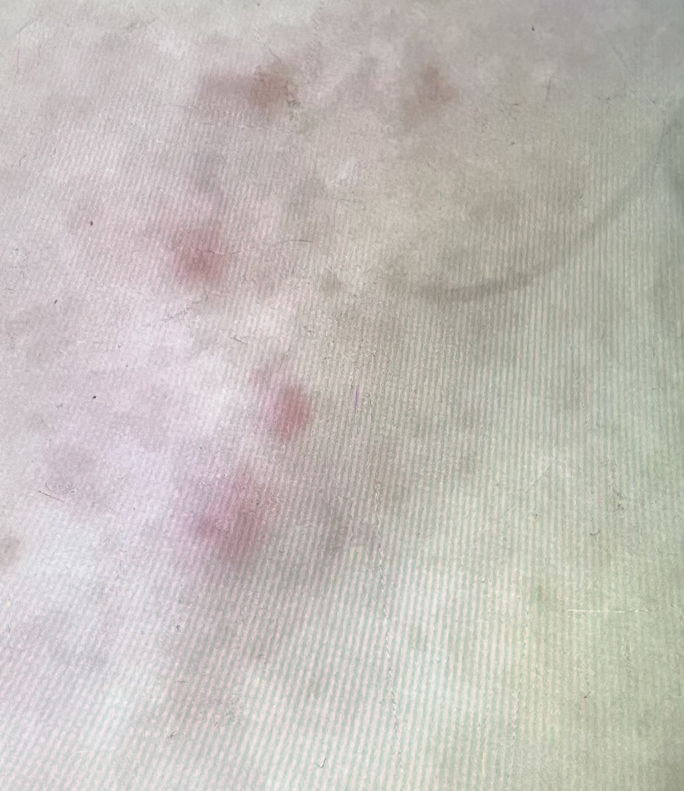 N10+Z1フェイスセラム /The Ordinary/美容液を使ったクチコミ（2枚目）