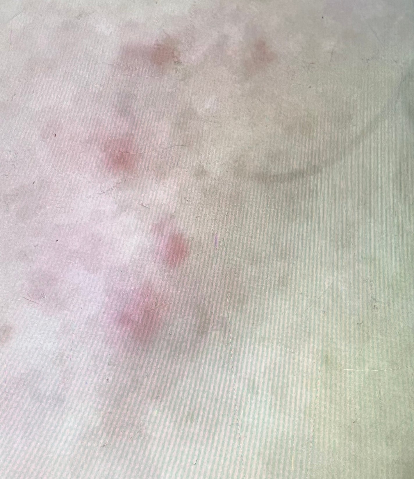 N10+Z1フェイスセラム /The Ordinary/美容液を使ったクチコミ(2枚目)