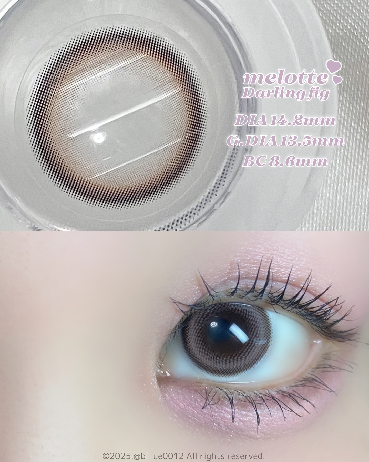 melotte 1day ダーリンフィグ/melotte/ワンデー（１DAY）カラコンを使ったクチコミ（2枚目）