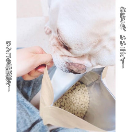 えび松(春br) on LIPS 「トコハナロジー様よりGLEBOグレボをお試しさせていただき..」(4枚目)