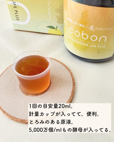 COBON コーボンユズ＆ジンジャーライフプラスN525のクチコミ「【美味しく善玉菌を頂く】

11/1数量限定で発売されたこちらの商品。

コーボン
ユズ＆ジン.....」（3枚目）