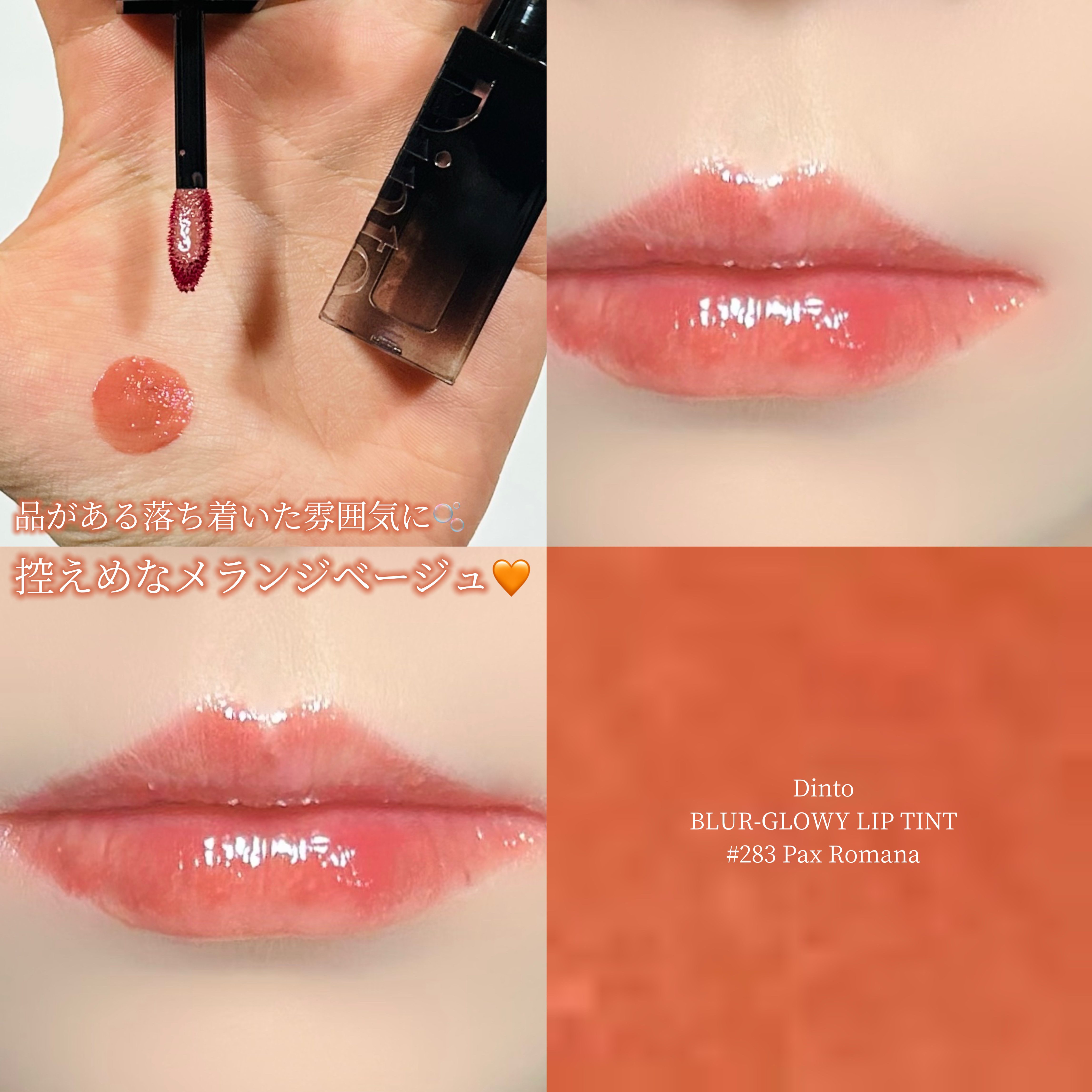 ブラーグロイリップティント 283 パクスロマーナ/Dinto/リップティントを使ったクチコミ（1枚目）
